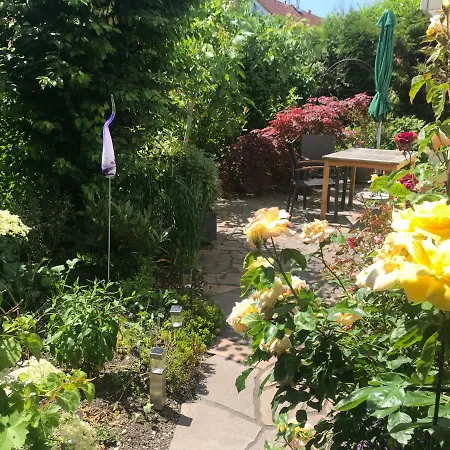 Terrassenwohnung Sonne